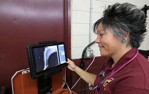 Allen Animal Clinic in Allen Texas Dr. Balie White portable digital x-ray