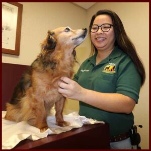 Allen Animal Clinic Dr. Rachel Halbrook