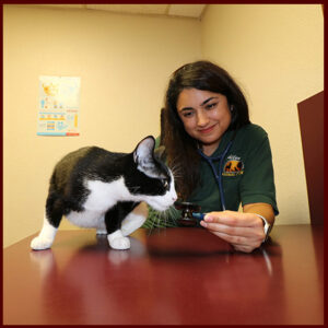 Allen Animal Clinic Dr Keshvari