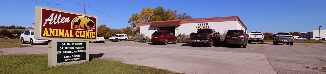 Allen Animal Clinic Allen Texas Building Picture